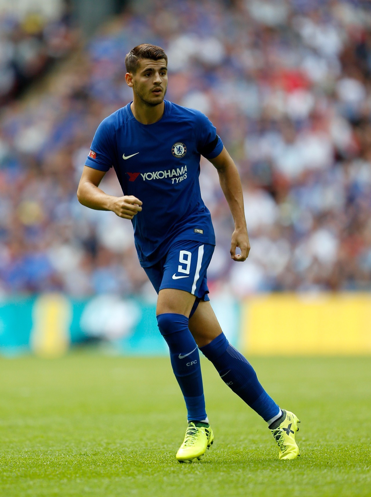 但凭借出色 但凭借出色